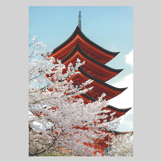 桜の宮島　通信面　うつろいポストカード「しきさい」　株式会社エヌ・ビー・シー社製　NBC
