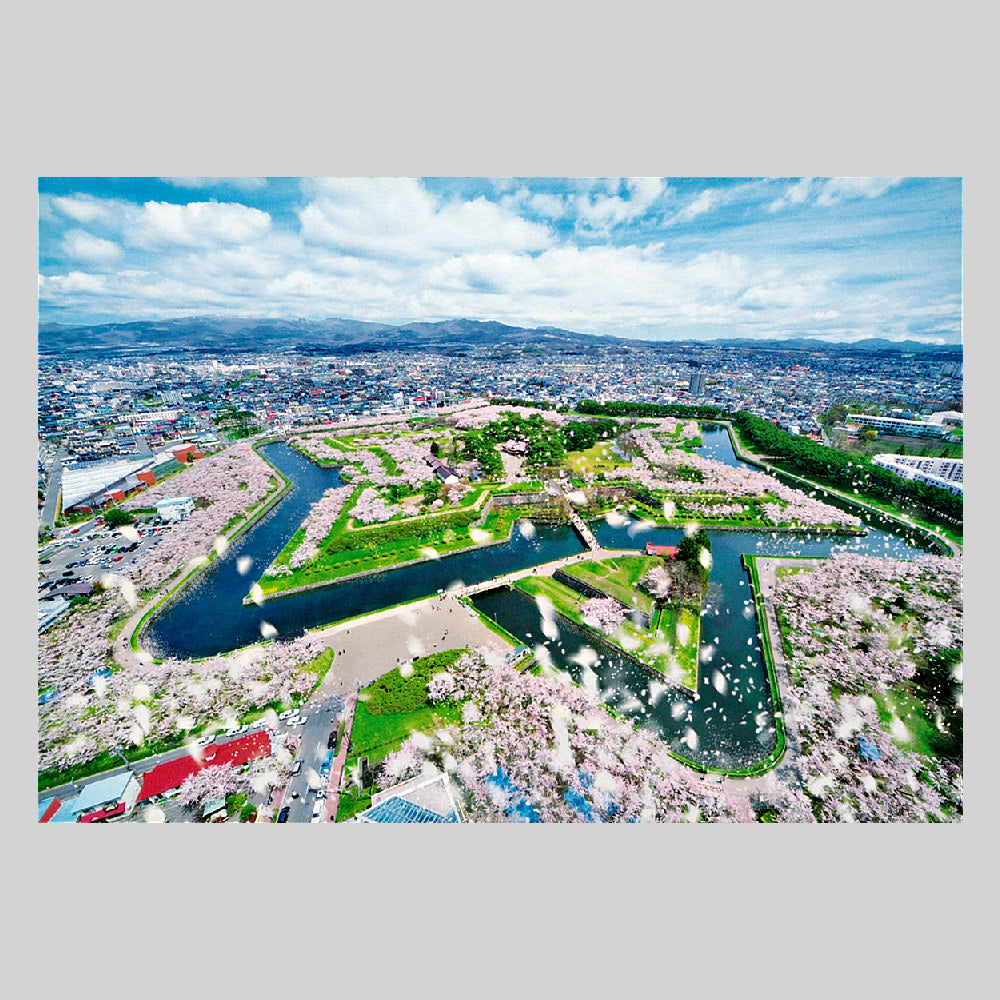 五稜郭公園の桜 通信面 うつろいポストカード「しきさい」 株式会社エヌ・ビー・シー社製 NBC 五芒星 3/100 追加 ポストクロッシング ポストカード 桜 函館 北海道 花 公園 タワー 五芒星