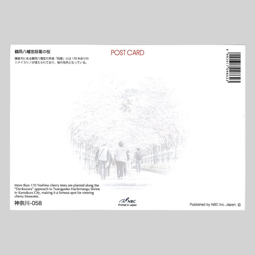 鶴岡八幡宮段葛の桜 宛名面 うつろいポストカード「しきさい」 株式会社エヌ・ビー・シー社製 NBC