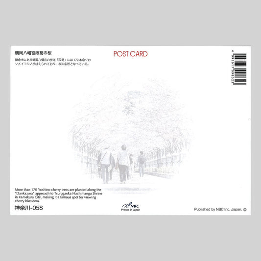 鶴岡八幡宮段葛の桜 宛名面 うつろいポストカード「しきさい」 株式会社エヌ・ビー・シー社製 NBC