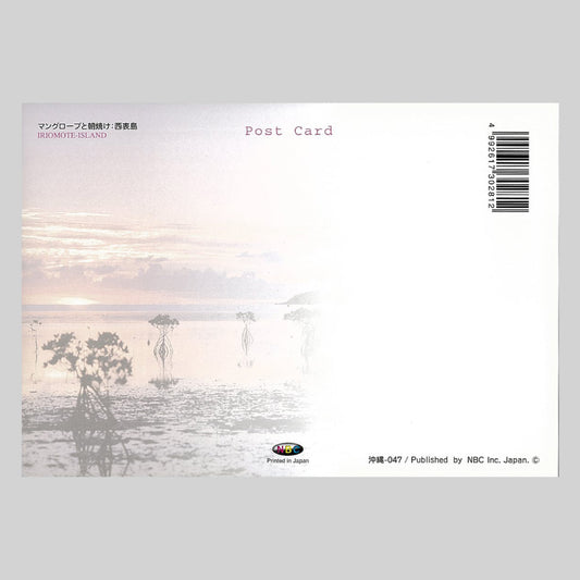 マングローブと朝焼け:西表島 宛名面 うつろいポストカード「しきさい」 株式会社エヌ・ビー・シー社製 NBC