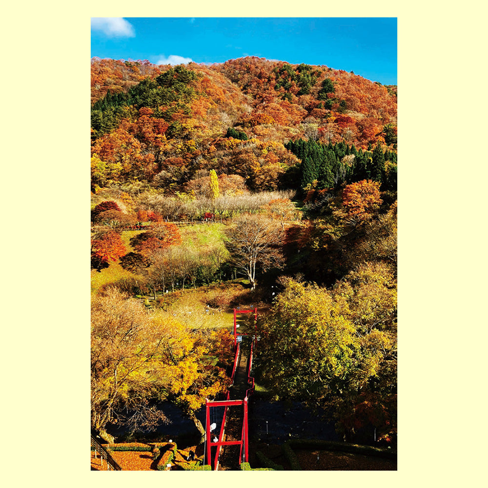 バラエティポストカード「きらり」「秋が来た」通信面 紅葉 山 秋 東北 岩手 空