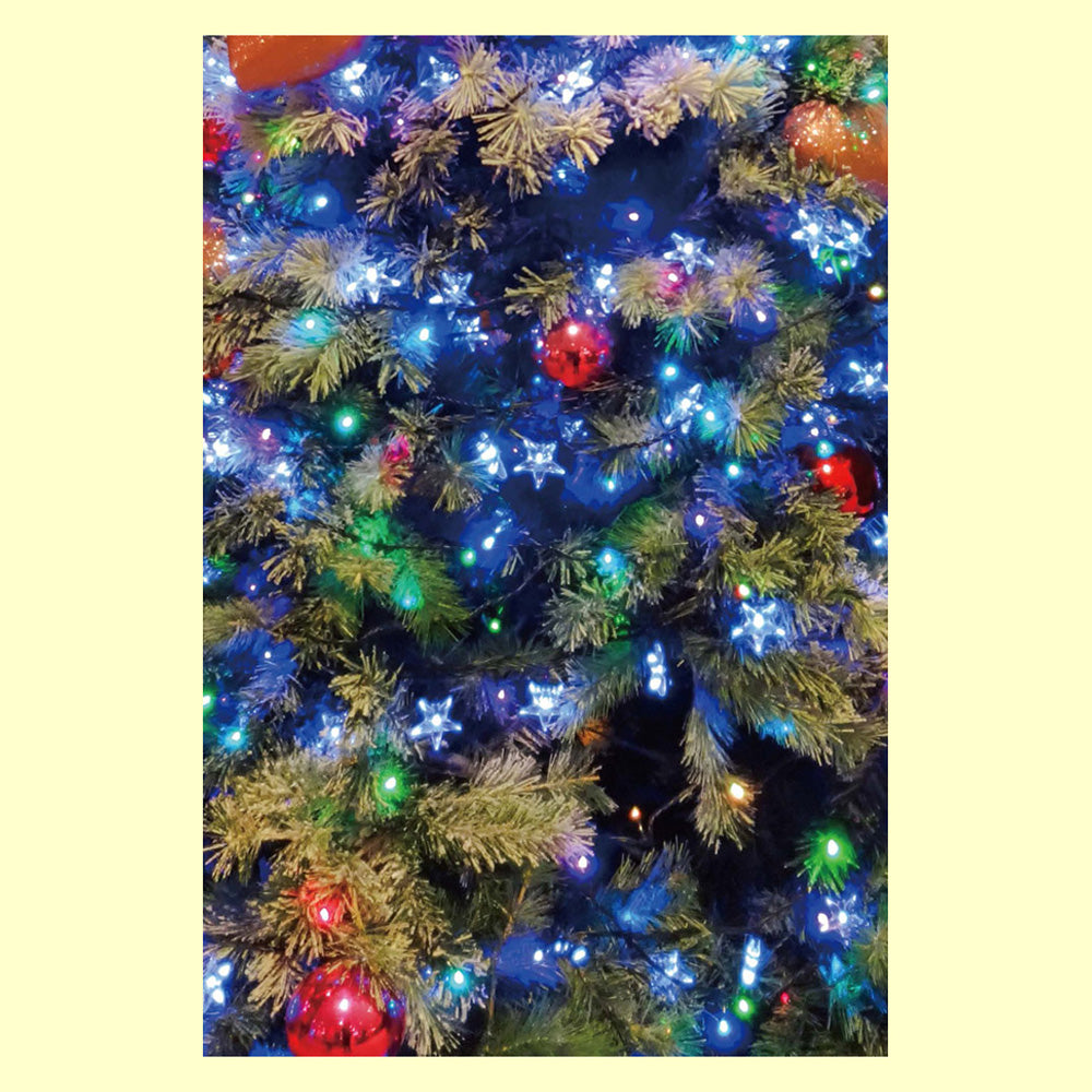 バラエティポストカード「きらり」 「クリスマスツリー」通信面 クリスマス ライトアップ もみの木 冬