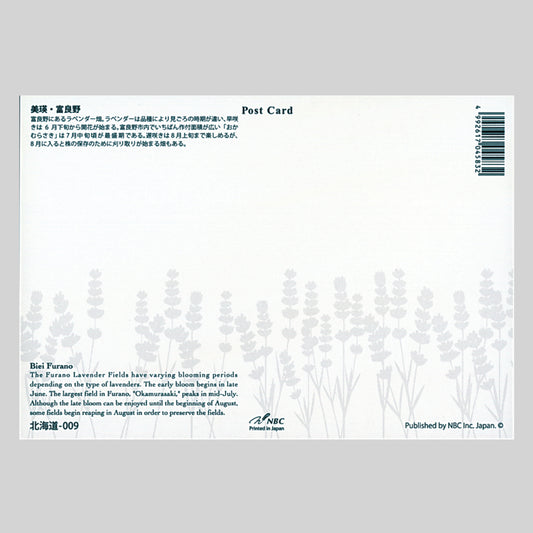 美瑛・富良野(NBC) 宛名面 しきさいポストカード
夏 ポプラ ラベンダー