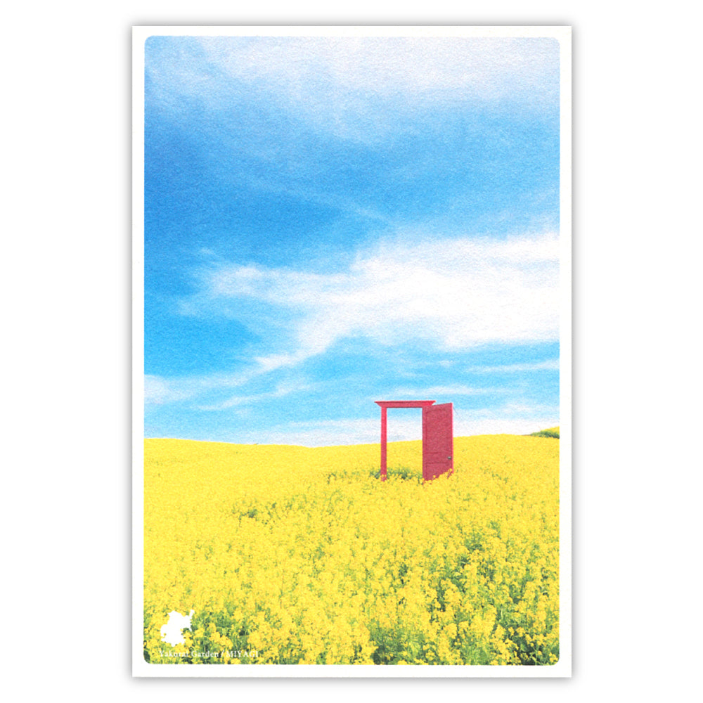 やくらいガーデン(いろは)菜の花 空 ドア
