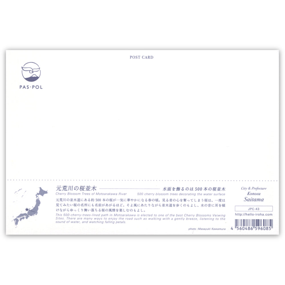 元荒川の桜並木(いろは)