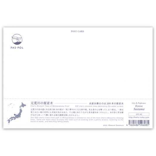 元荒川の桜並木(いろは)