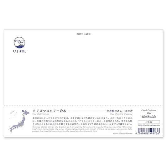 クリスマスツリーの木 宛名面 うつろいポストカード「しきさい」 いろは出版製