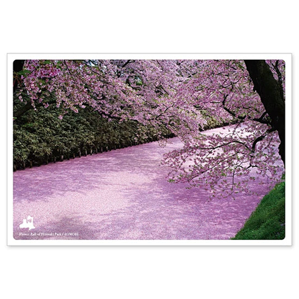 弘前公園の花筏 通信面 うつろいポストカード「しきさい」 いろは出版製 東北 青森 桜 弘前城 桜まつり ソメイヨシノ 世界の絶景