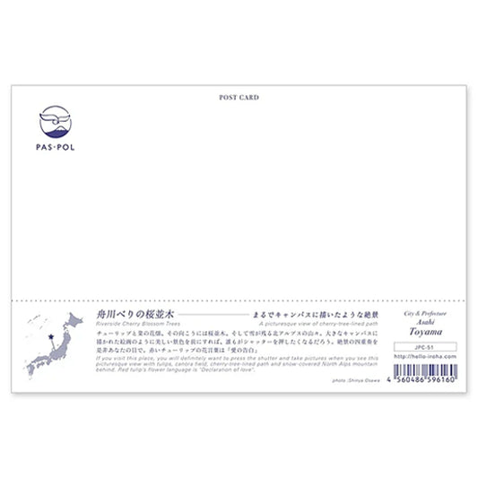 舟川べりの桜並木 宛名面 うつろいポストカード「しきさい」 いろは出版製