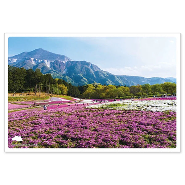 羊山公園(芝桜の丘) 通信面 うつろいポストカード「しきさい」 いろは出版製 関東 埼玉 緑地公園 花見 武甲山 山 丘陵地帯