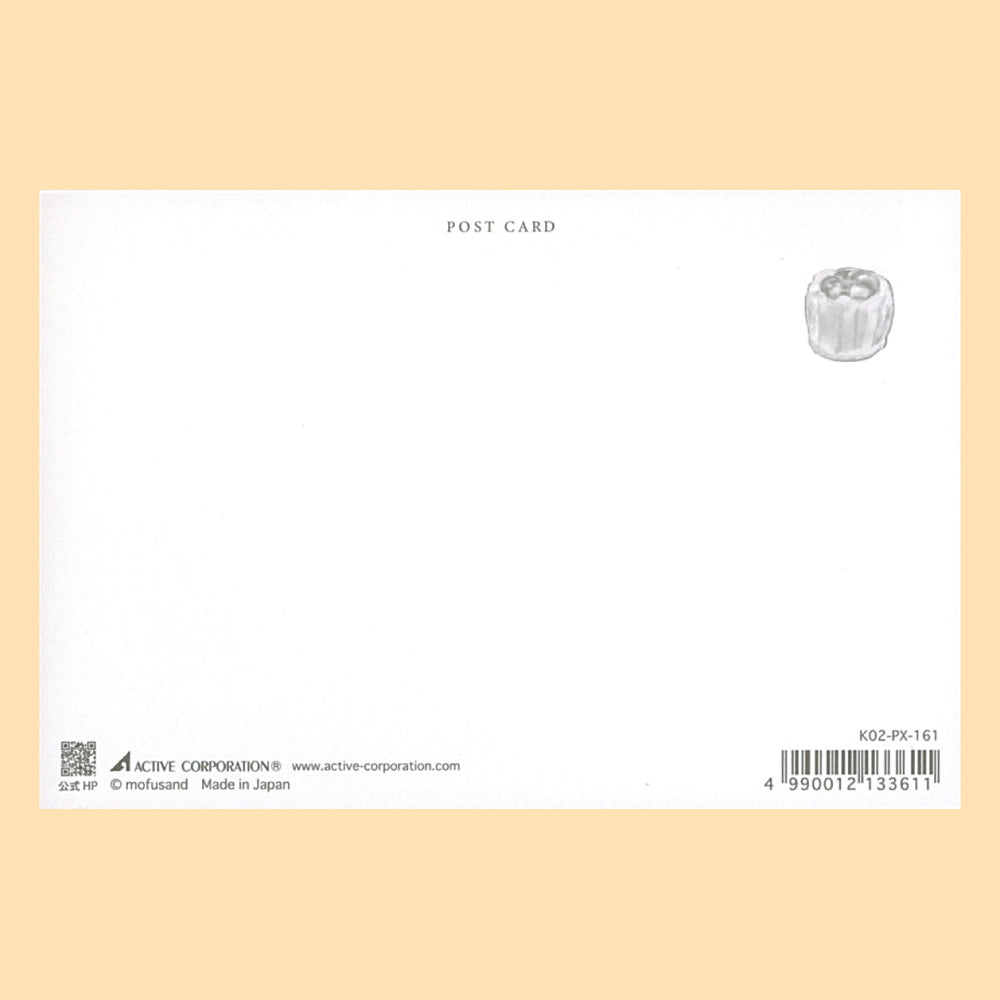 バラエティポストカード「きらり」 アクティブコーポレーション 宛名面