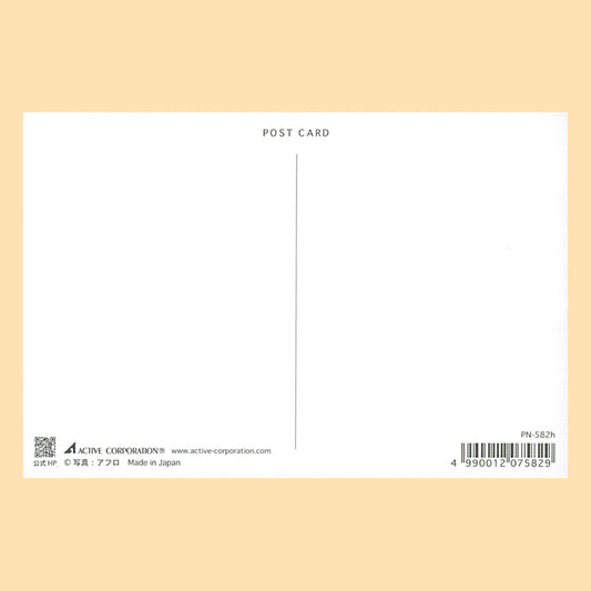バラエティポストカード「きらり」 アクティブコーポレーション 宛名面