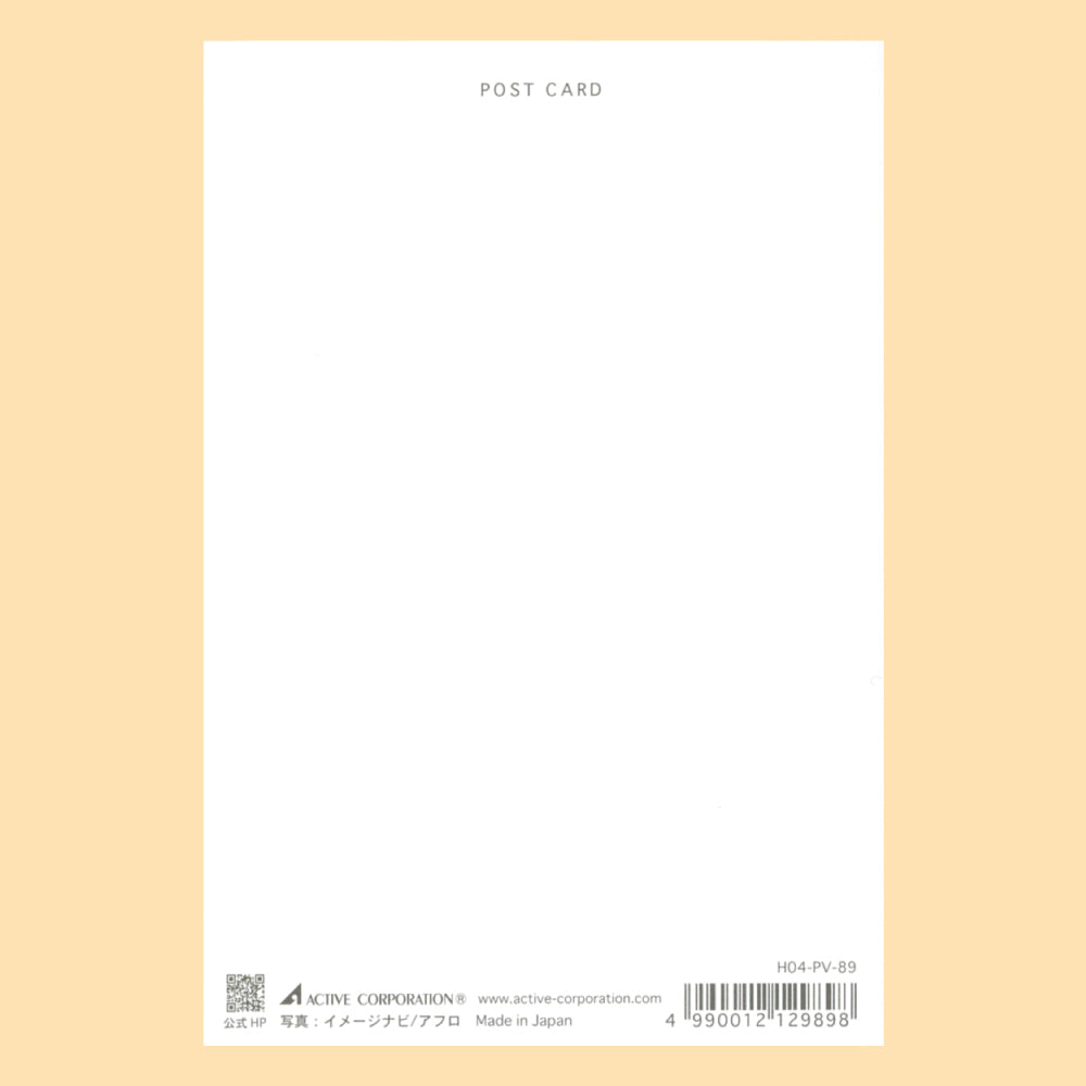 【シマエナガ】H04-PV-89