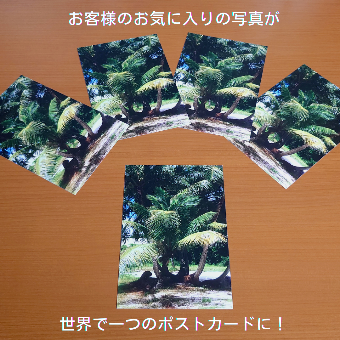 ノーマルサイズポストカード メイン はがき 印刷 好きな画像