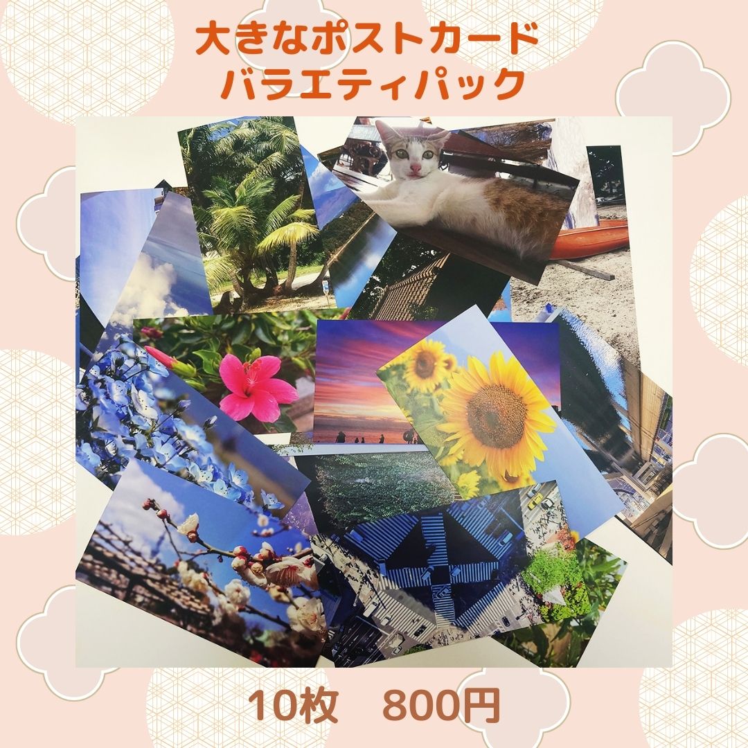 大きなポストカードバラエティパック