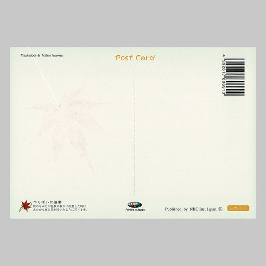 つくばいに落葉 宛名面 うつろいポストカード「しきさい」 株式会社エヌ・ビー・シー社製 NBC