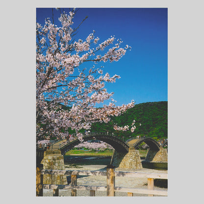 桜咲く錦帯橋　通信面　うつろいポストカード「しきさい」　株式会社エヌ・ビー・シー社製　NBC