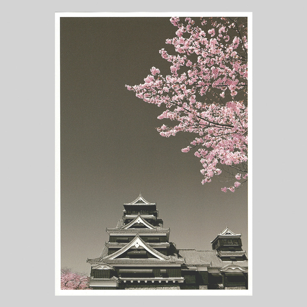 熊本城桜　通信面　うつろいポストカード「しきさい」　株式会社エヌ・ビー・シー社製　NBC