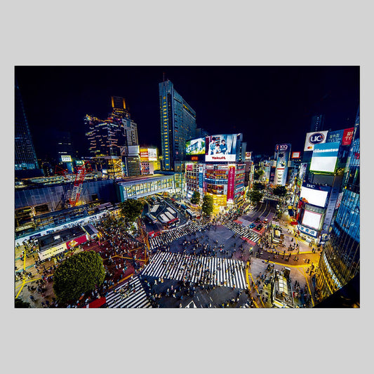 渋谷スクランブル交差点　通信面　うつろいポストカード「しきさい」　株式会社エヌ・ビー・シー社製　NBC