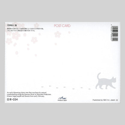 河津桜と猫　宛名面　うつろいポストカード「しきさい」　株式会社エヌ・ビー・シー社製　NBC