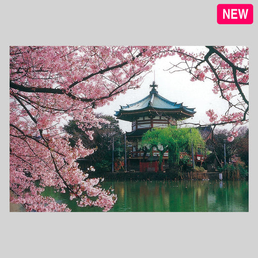 上野公園・不忍池　通信面　うつろいポストカード「しきさい」　株式会社エヌ・ビー・シー社製　NBC