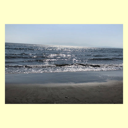 バラエティポストカード「きらり」　「光るさざ波」通信面　マキシマムカード  ポストクロッシング  海岸  夏  晴れ  砂浜  海