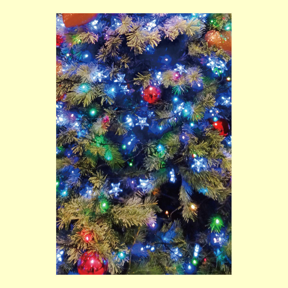 バラエティポストカード「クリスマスツリー」通信面