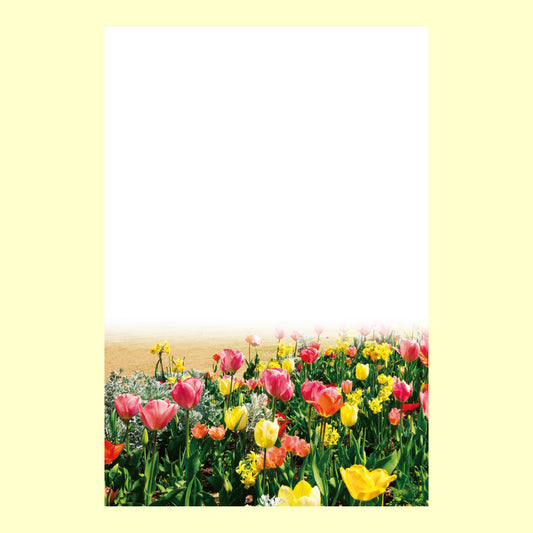 ポストカード「春の饗宴」通信面