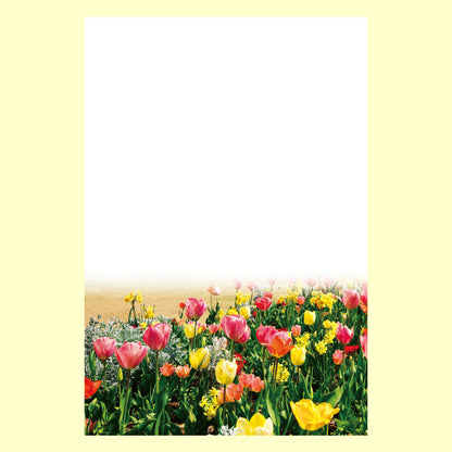 ポストカード「春の饗宴」通信面