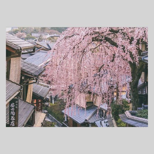 産寧坂(さんねいざか)の枝垂桜 （NBC）