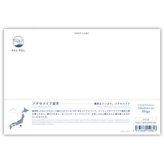 メタセコイア並木（いろは）
