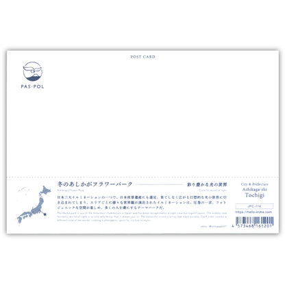 冬のあしかがフラワーパーク（いろは）