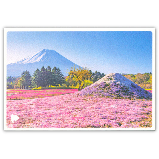 富士芝桜まつり（いろは）