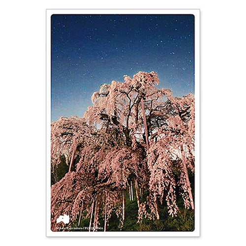 三春滝桜　通信面　うつろいポストカード「しきさい」　いろは出版製　東北  福島  春  花  天然記念物  ベニシダレザクラ  名木  樹齢1000年