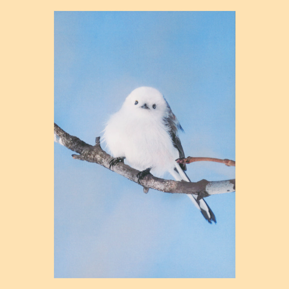 【シマエナガ】H04-PV-89