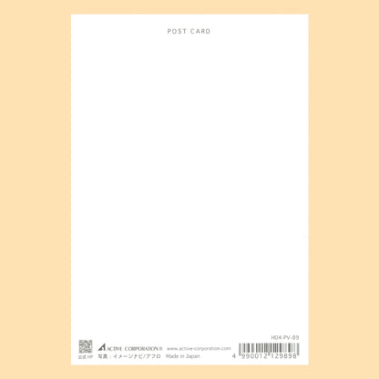 【シマエナガ】H04-PV-89