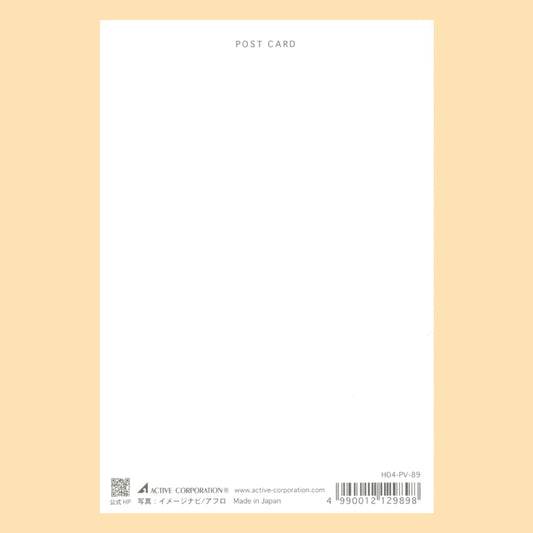 【シマエナガ】H04-PV-89